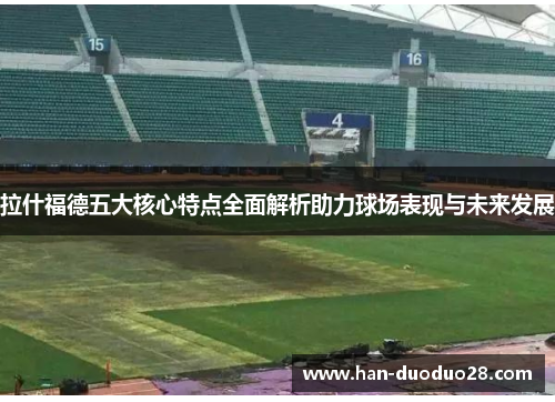 拉什福德五大核心特点全面解析助力球场表现与未来发展