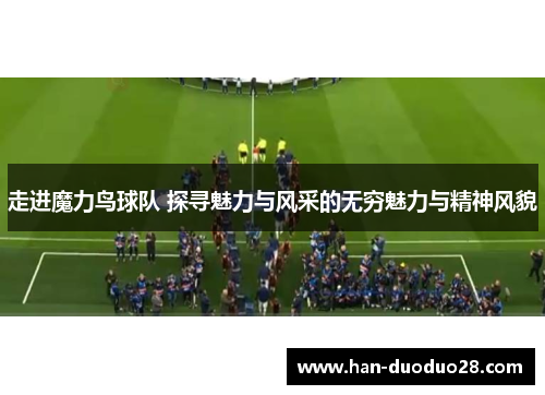 走进魔力鸟球队 探寻魅力与风采的无穷魅力与精神风貌