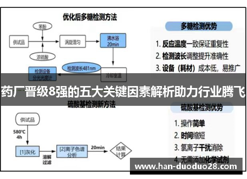 药厂晋级8强的五大关键因素解析助力行业腾飞