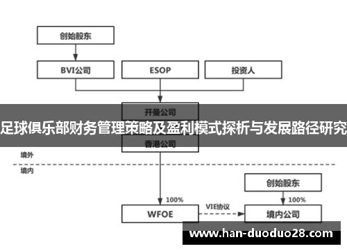 足球俱乐部财务管理策略及盈利模式探析与发展路径研究